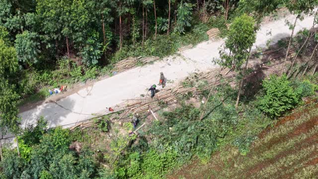 Loading Timber On Road