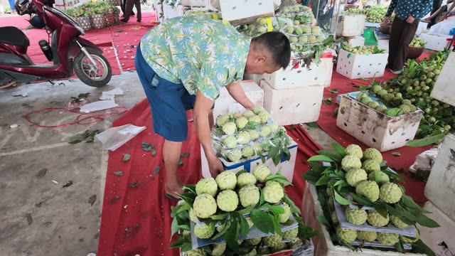 Man Packing Boxes At Market
