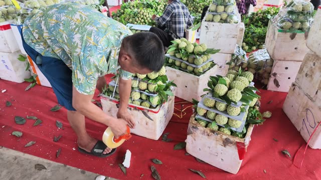 Man Taping Box Of Custard Apples