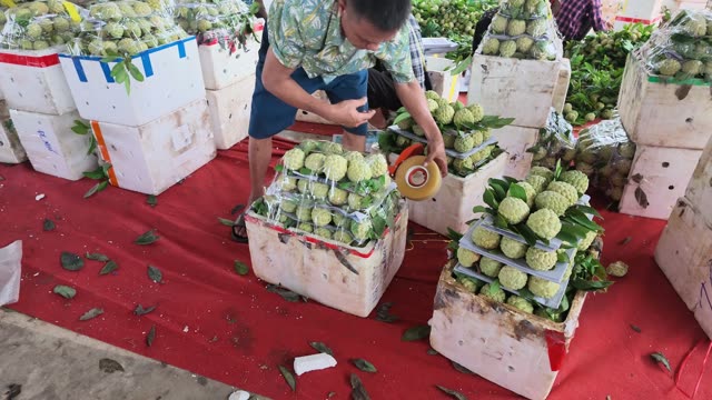 Woman Sorting Fruit By Boxes