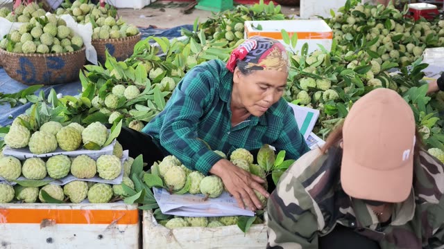 Busy Wholesale Fruit Market