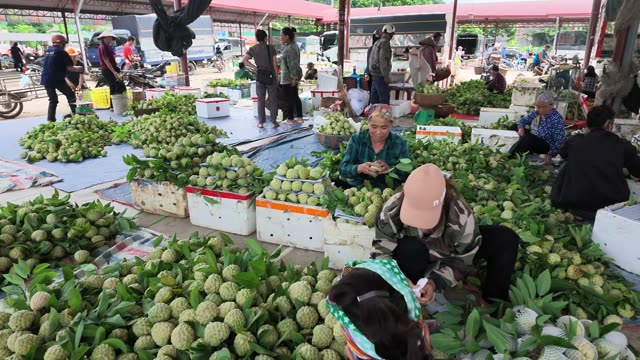 Vendors At Wholesale Market