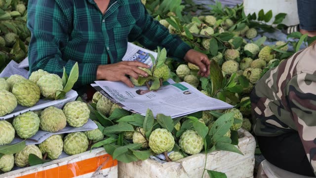 Man Reading Paper While Sorting Fruit