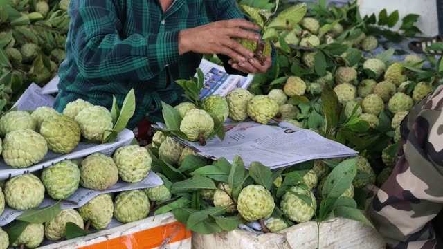 Man Handling Custard Apple On Paper