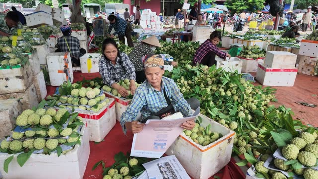 Busy Market With Many Vendors