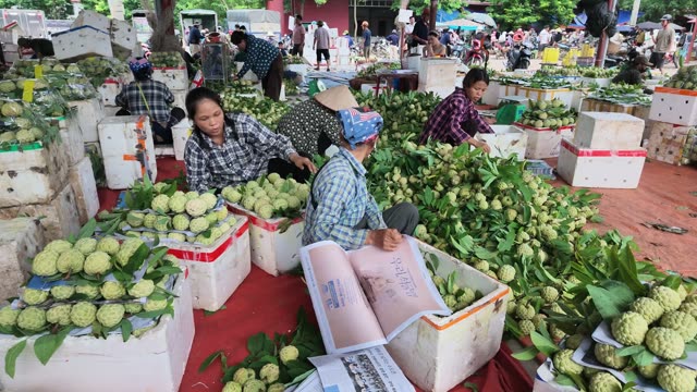 Vendors Sorting Fruit Together