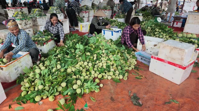 Women Sorting Fruit On Tarp