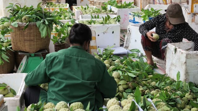Man And Woman Sorting Baskets