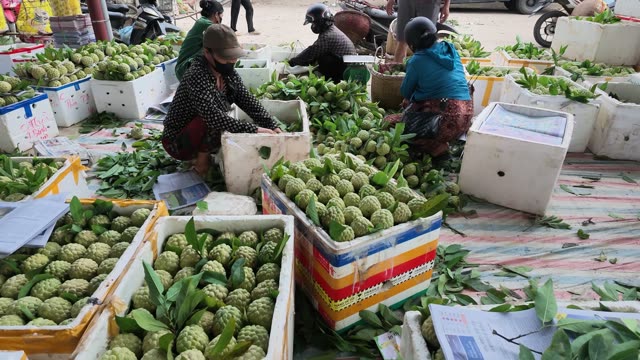Vendors Sorting Fruit In Colorful Boxes