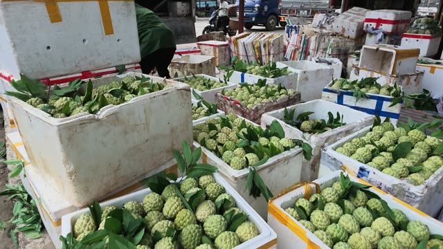 Stacked Boxes Of Custard Apples