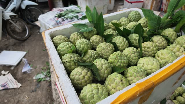 Box Of Custard Apples Sealed