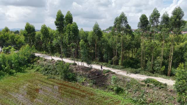 Villagers Carrying Timber Loads