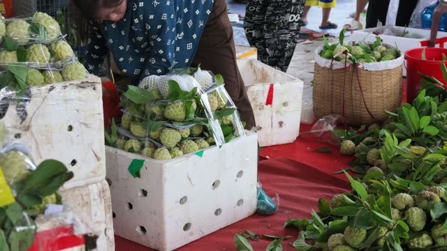 Man Packing Netted Fruit Into Box