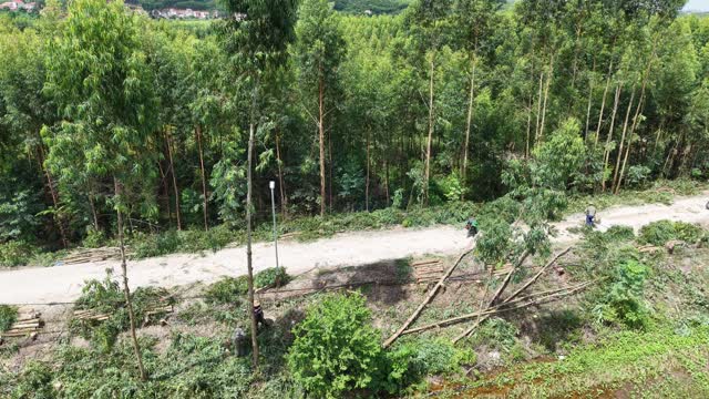 Motorbike On Timber Road