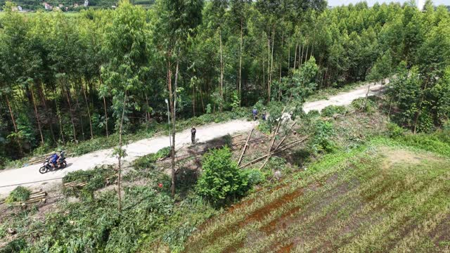 Rural Road Timber Loading