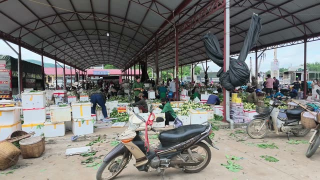 People Sorting Fruit Into Boxes