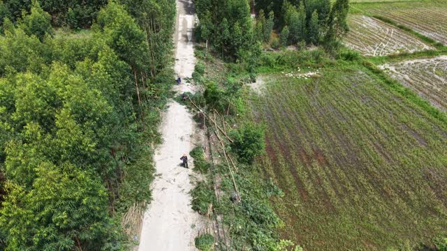Farmers Clearing Roadside Trees
