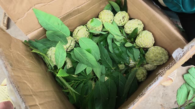 Custard Apples Wrapped In Leaves