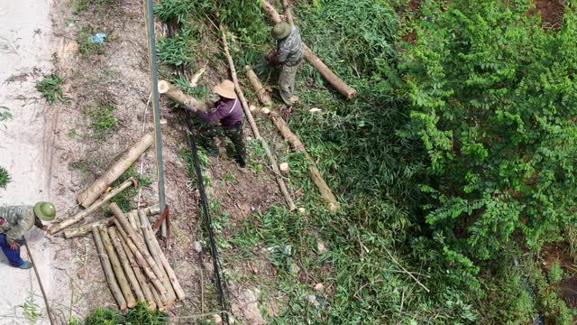 Overhead View Of Log Cutting