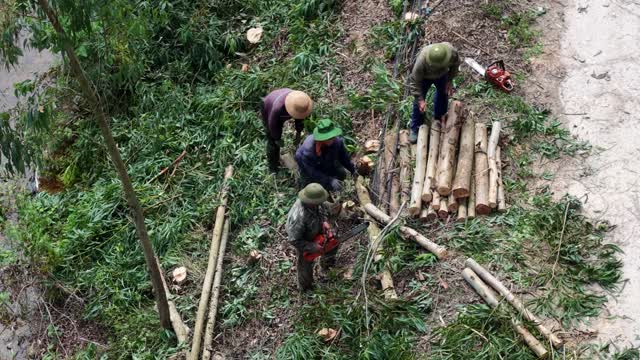 Farmers Processing Cut Logs