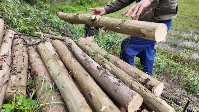 Farmer Lifting Cut Log