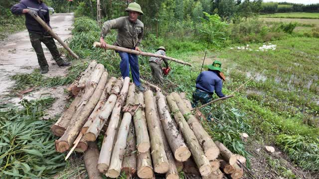Farmer Carrying Pole At Woodpile