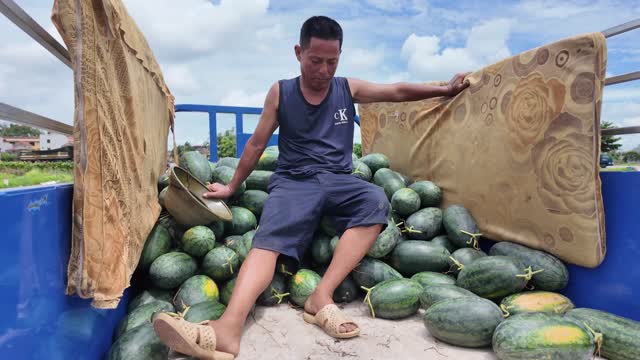 Farmer Resting On Watermelon Truck
