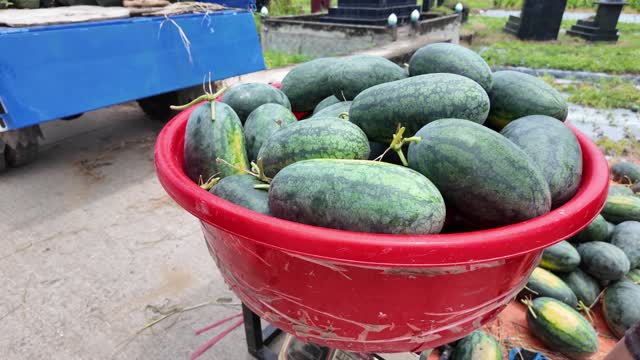 Red Basin Full Of Watermelons