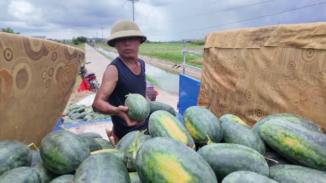 Farmer Holding Fresh Watermelon