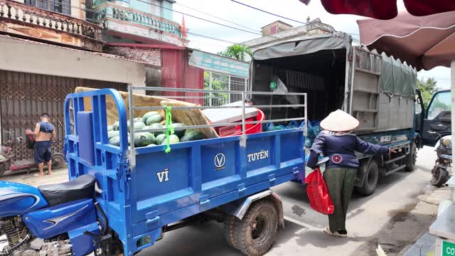Farmer Loading Melon Bags