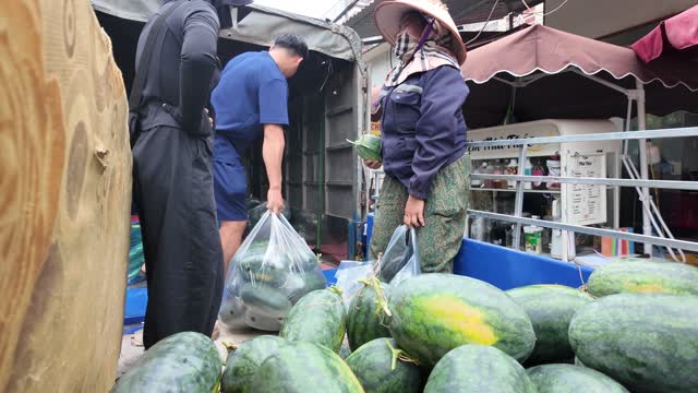 Weighing Bags Of Watermelons