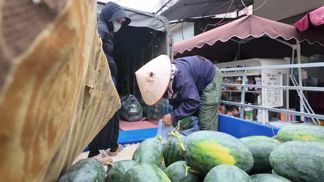 Sorting Melons At Market