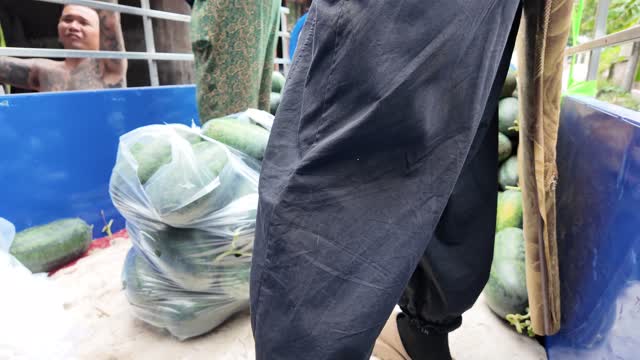 Carrying Bags Of Produce