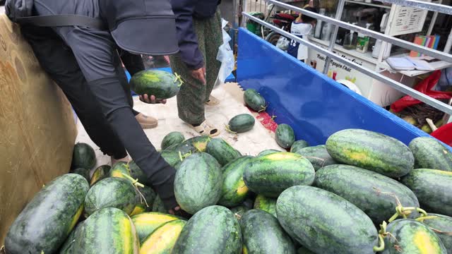 Arranging Watermelons In Truck