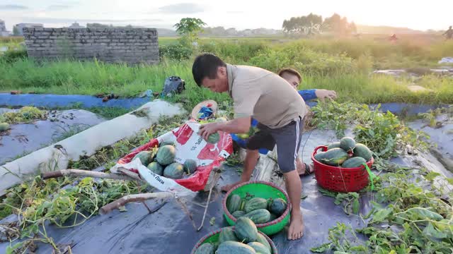 Sorting Watermelons Into Baskets