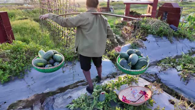 Carrying Watermelons Past Trellis