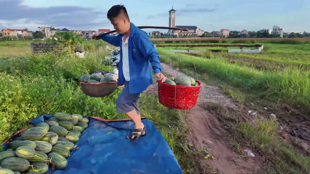Farmer Carrying Watermelon Baskets