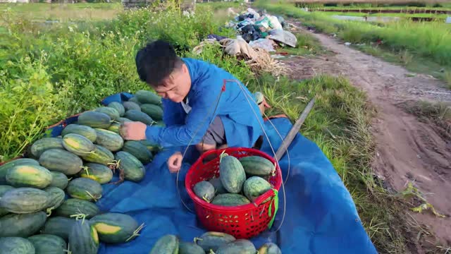 Sorting Watermelons By The Path