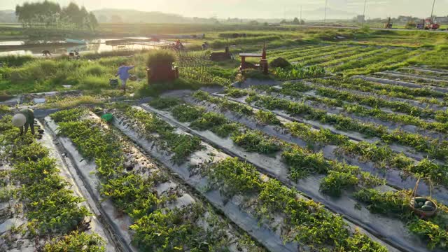 Sunrise Farm And Pond
