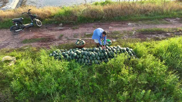 Piling Watermelons By Path