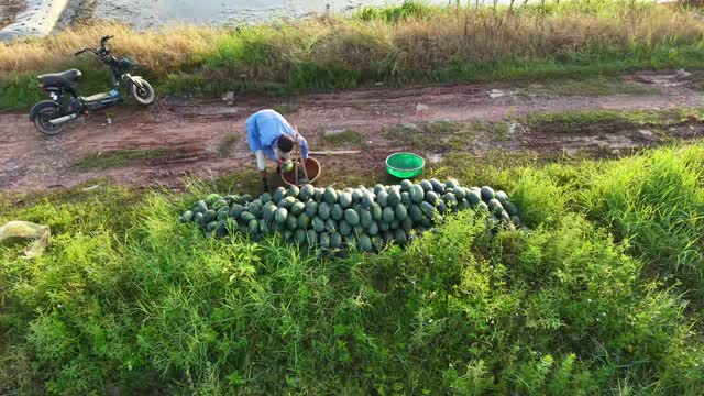 Watermelon Pile And Motorbike