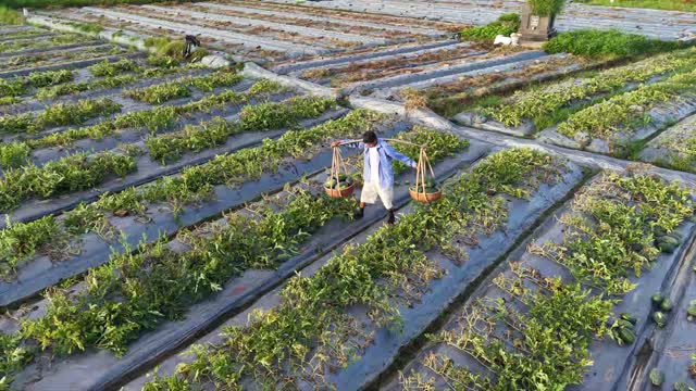 Worker Balancing Basket Load