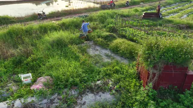 Worker By Pond And Field