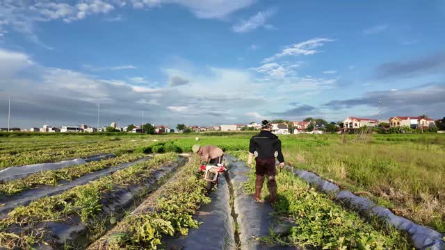 Workers With Motorbike In Field