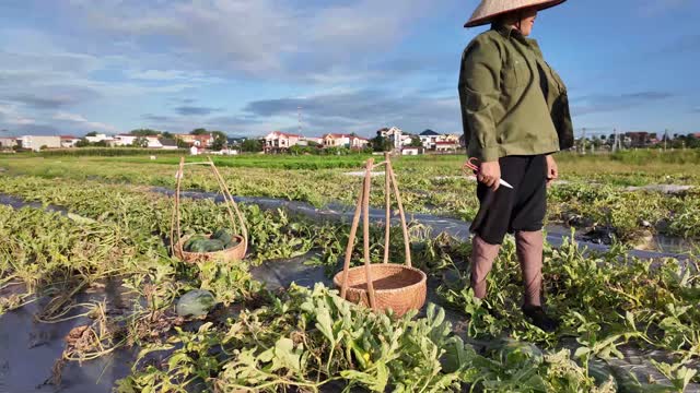 Worker Beside Carrying Baskets