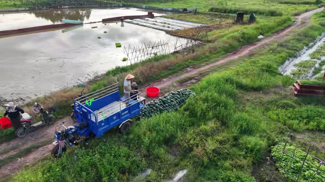Watermelon Truck Over Wide Fields