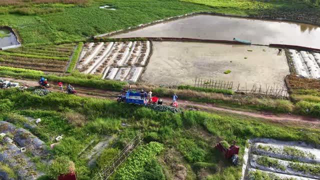 Cargo Trike Over Wide Farmland