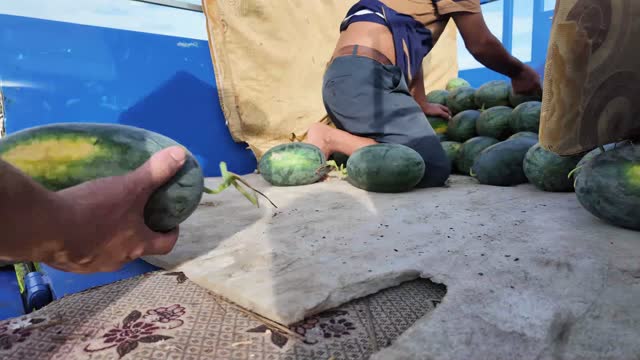 Low Angle Watermelon Loading On Truck