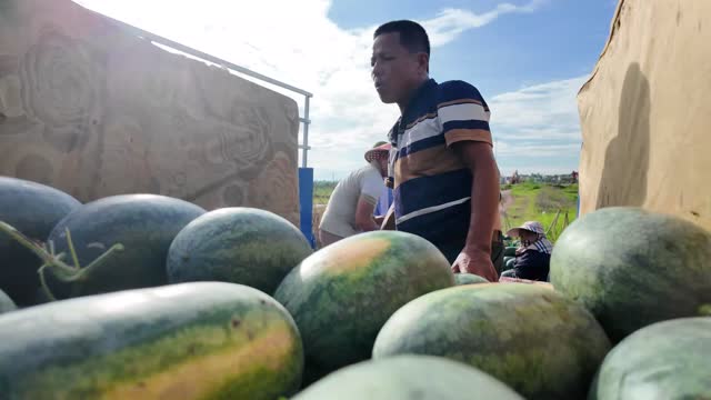Farmer Behind Watermelon Pile