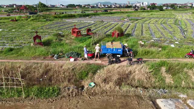 Watermelon Trike On Countryside Path